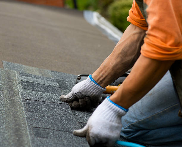 Best Roof Gutter Cleaning  in Makawao, HI