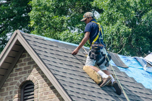 Best Emergency Roof Repair  in Makawao, HI
